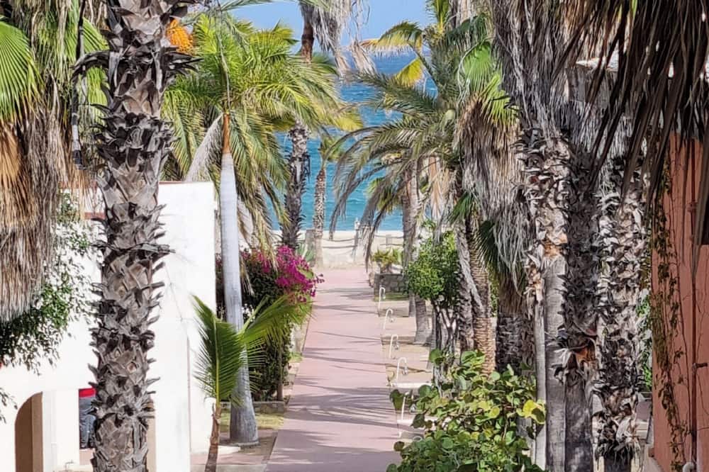 Buena Vista Oceanfront & Hot Springs Resort
