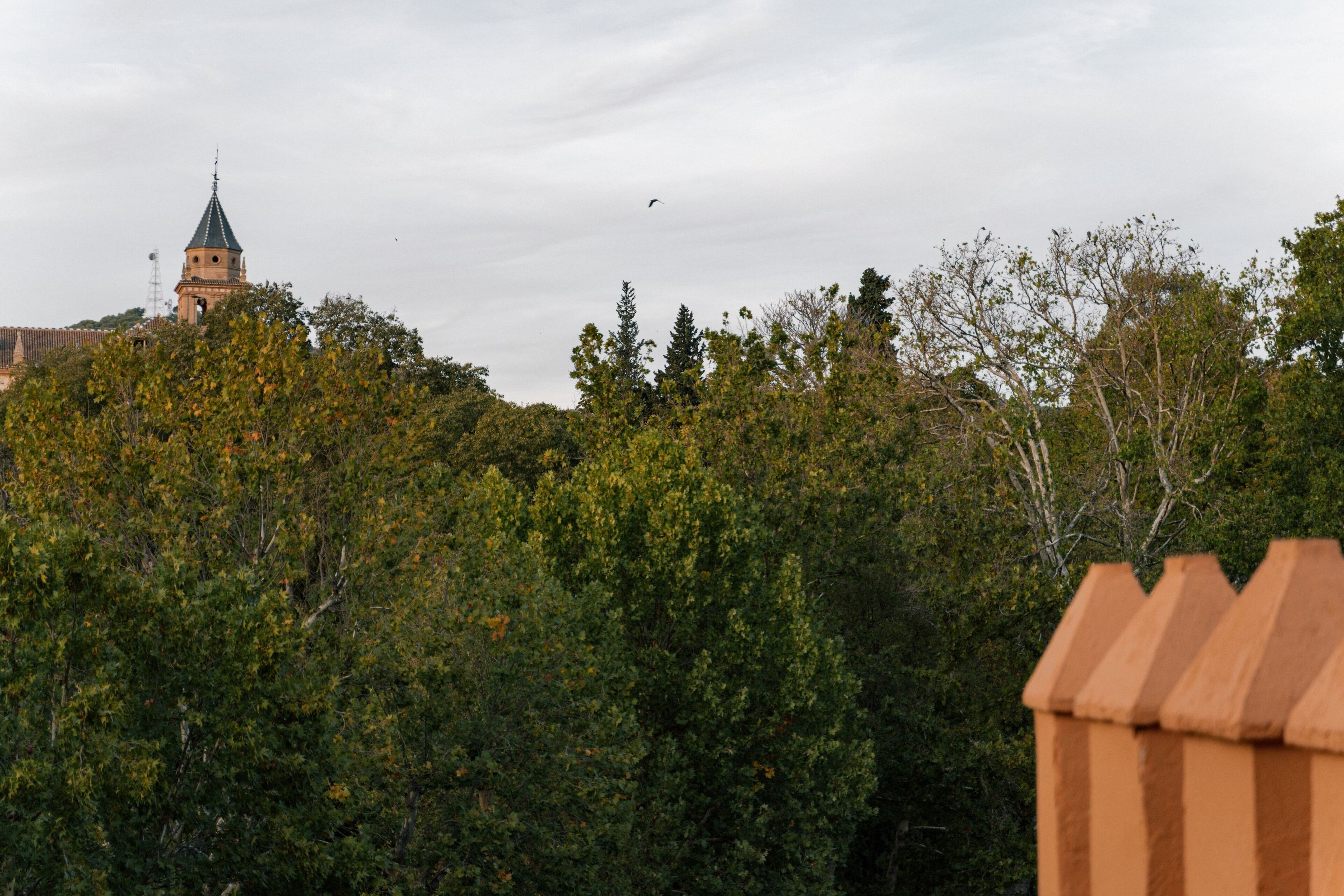 Vista de un edificio con una torre y vegetación densa al frente.