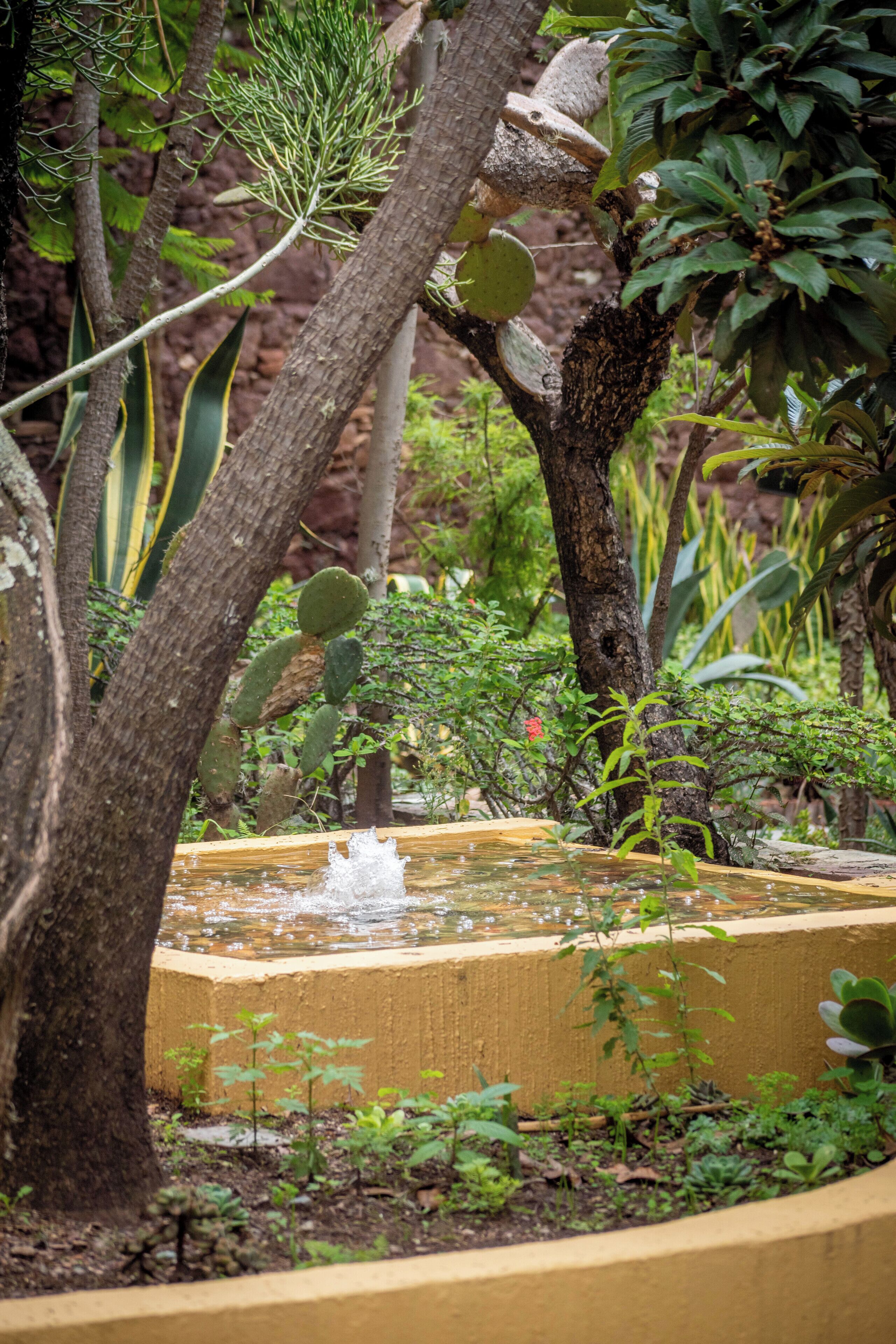 Photo - Quinta Las Acacias Hotel Boutique