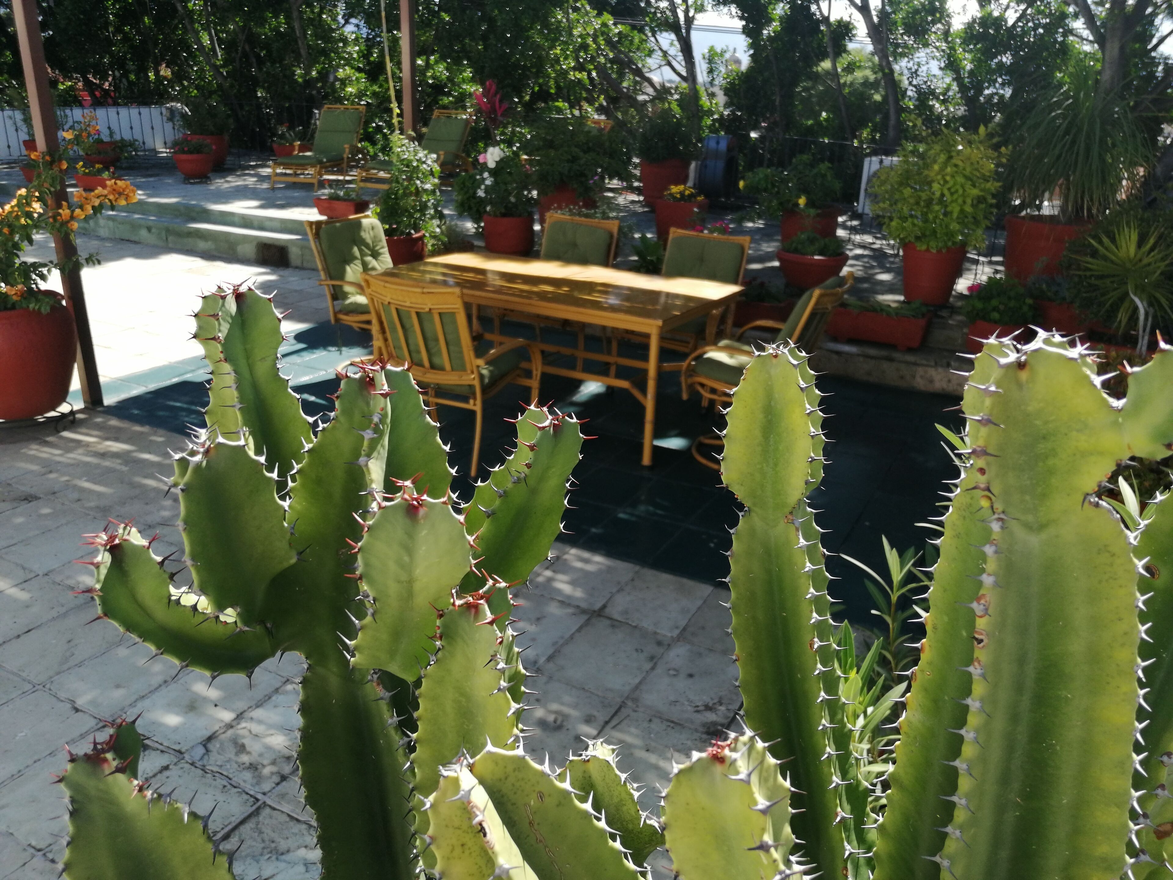 outdoor wedding area