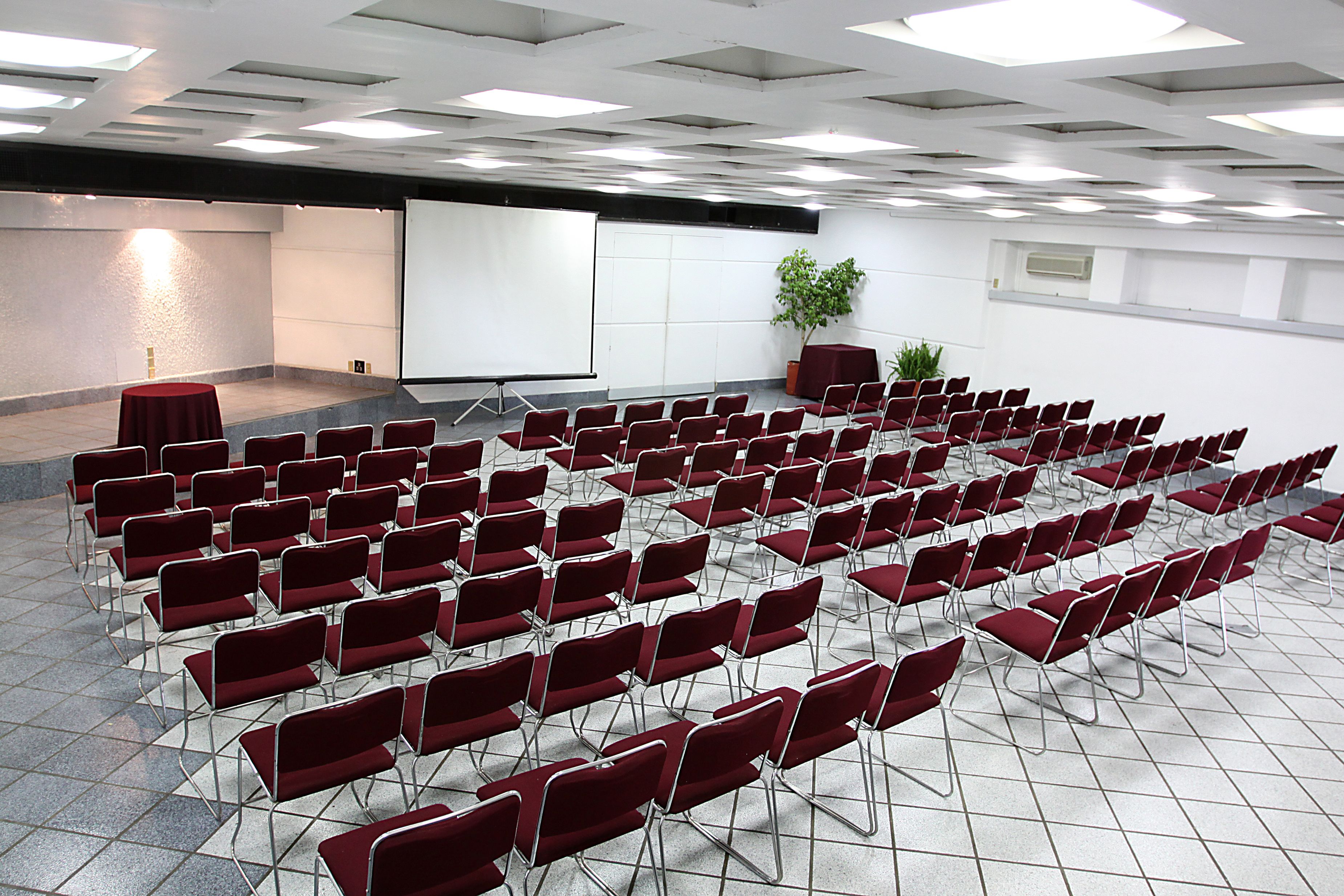 Photo - Hotel Fortin Plaza