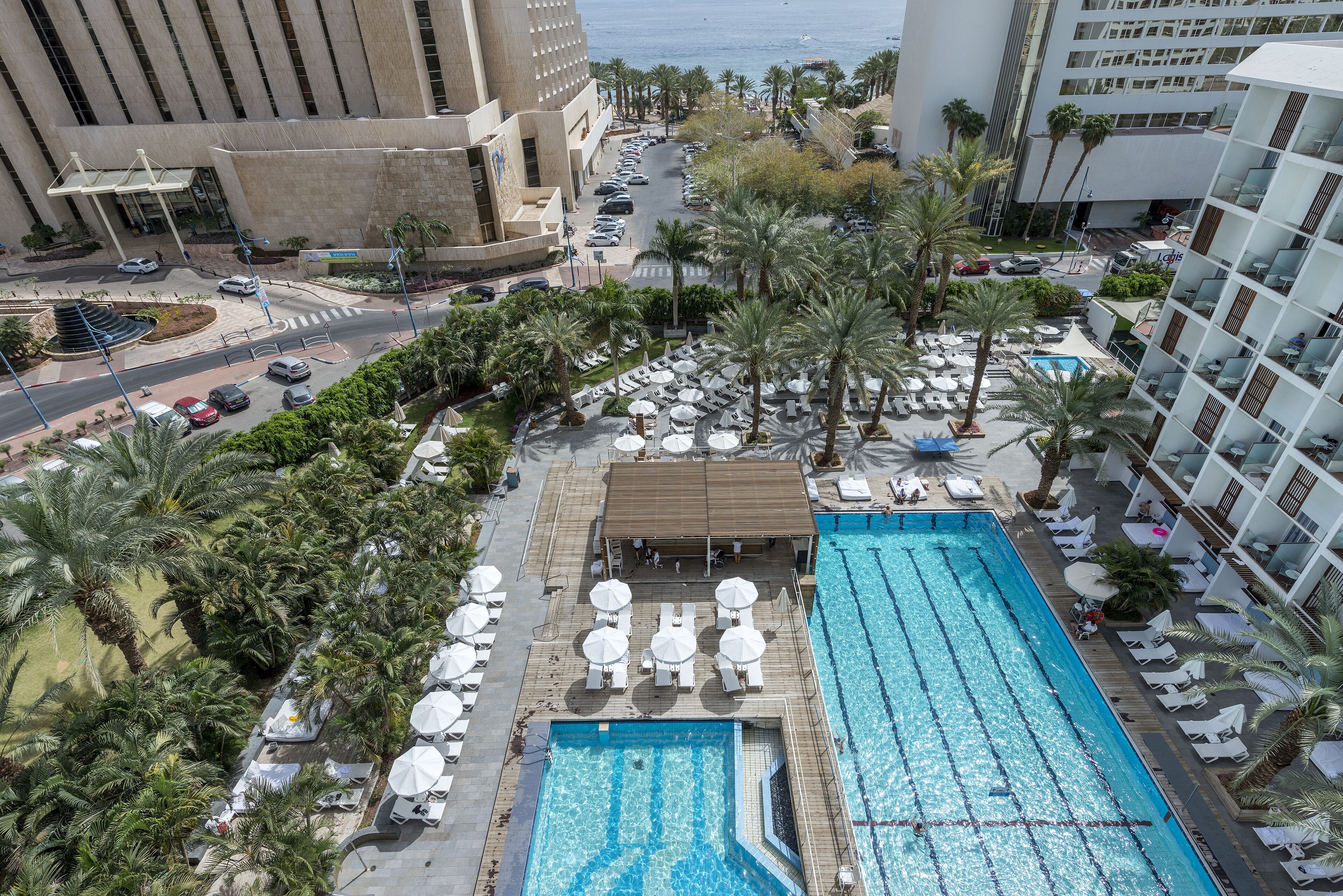 olympic room with balcony,hotel's lawns view | view from room