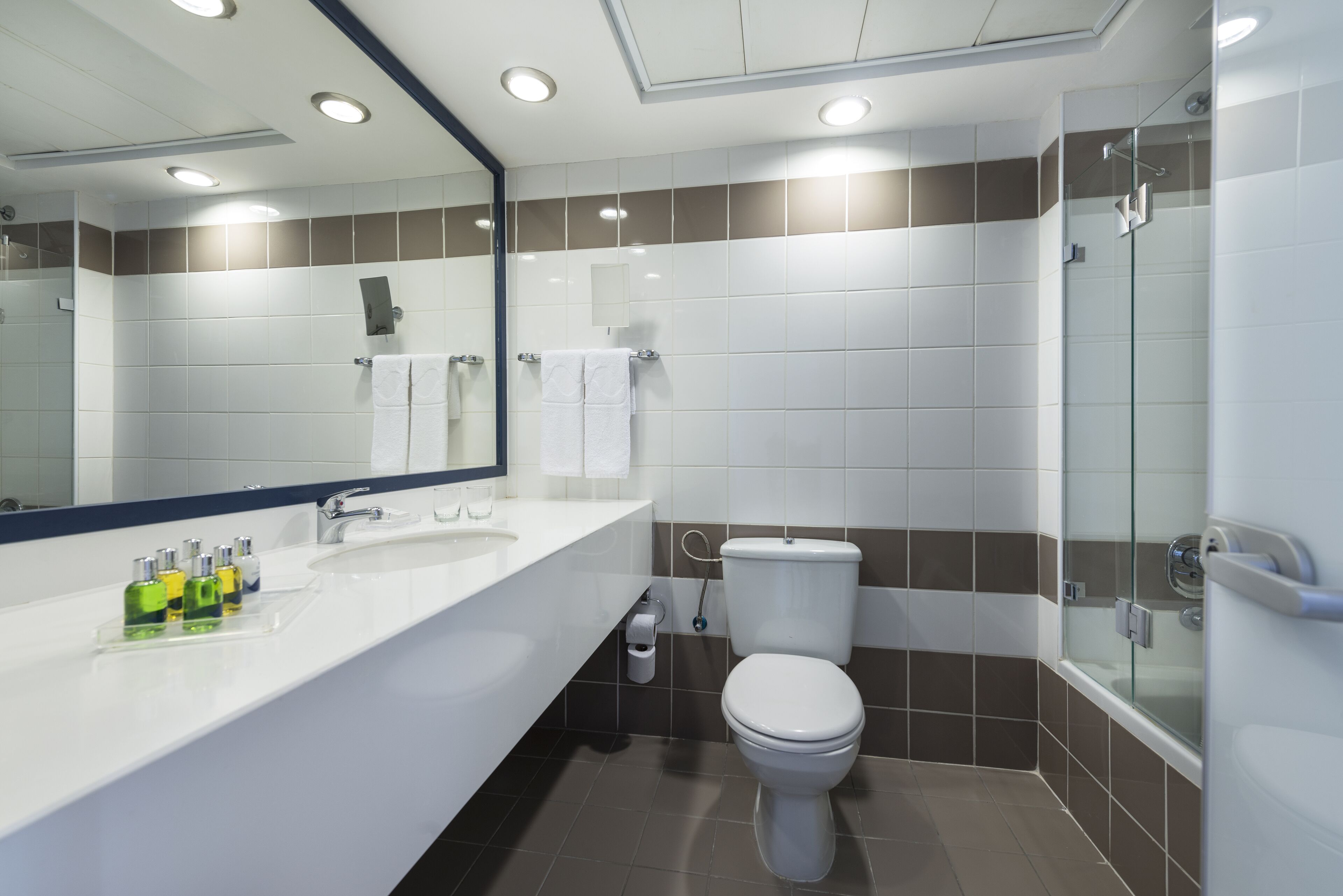 deluxe room with hotel's lawns view | bathroom | free toiletries, hair dryer, towels