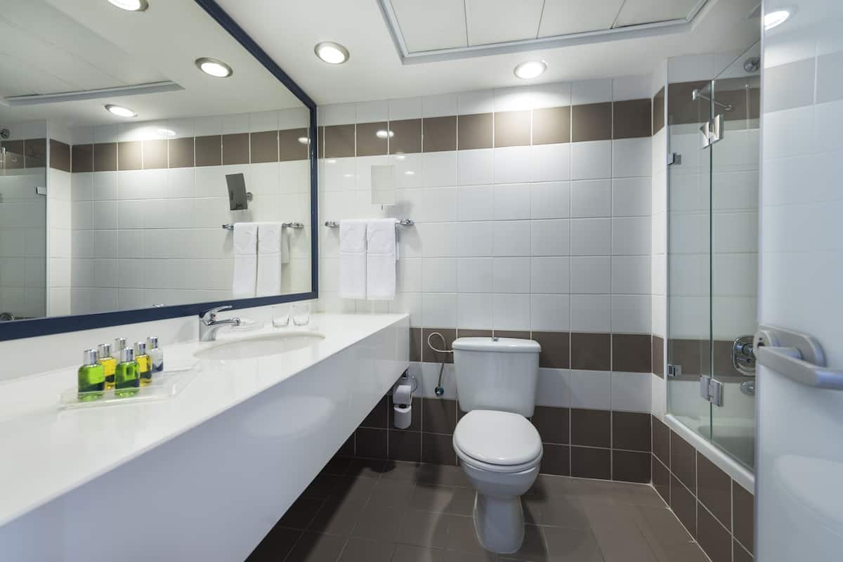 deluxe room with hotel's lawns view | bathroom | free toiletries, hair dryer, towels