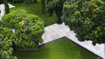 A landscaped garden with a variety of trees and a paved walkway.