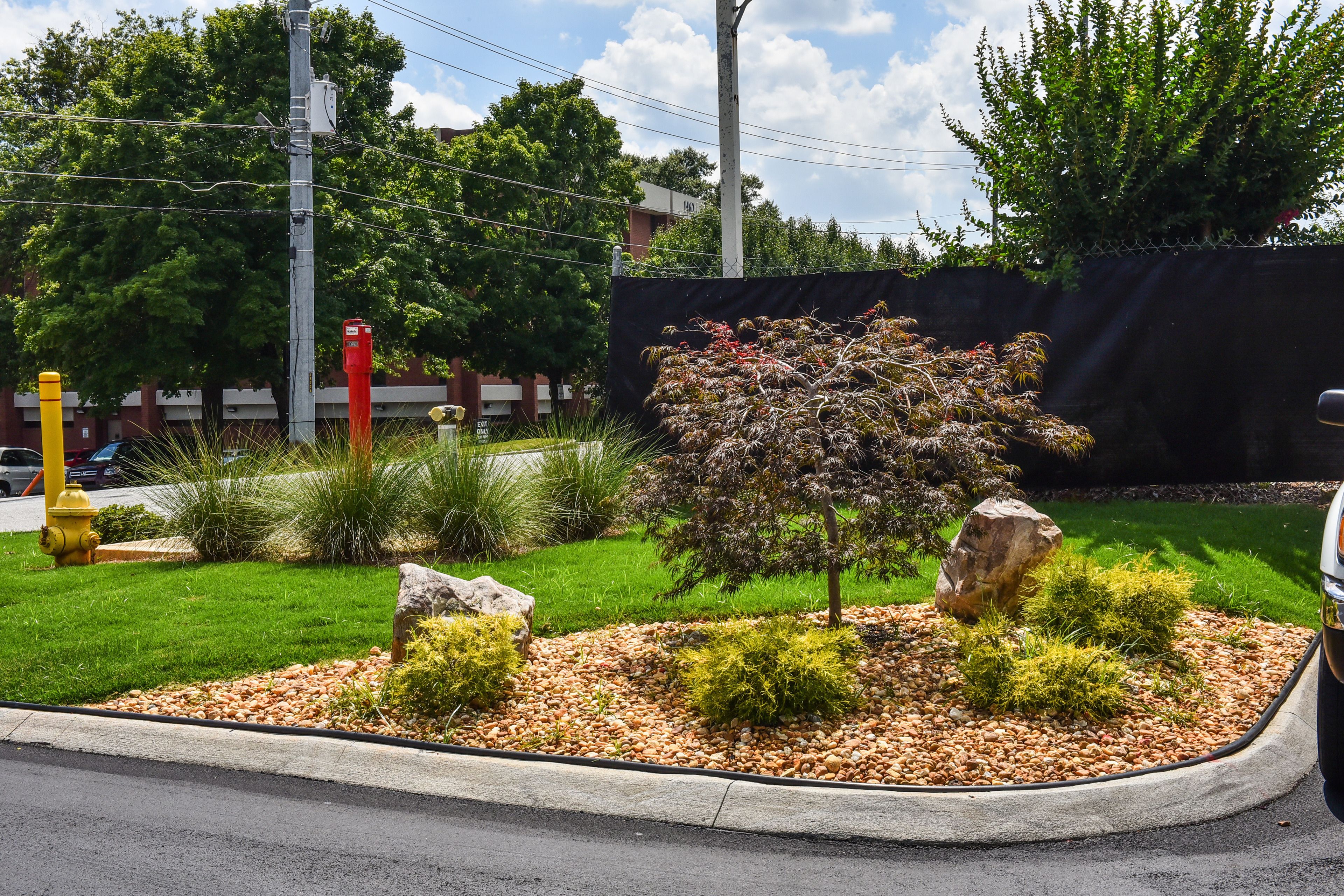 A landscaped garden with a variety of plants and a small tree.