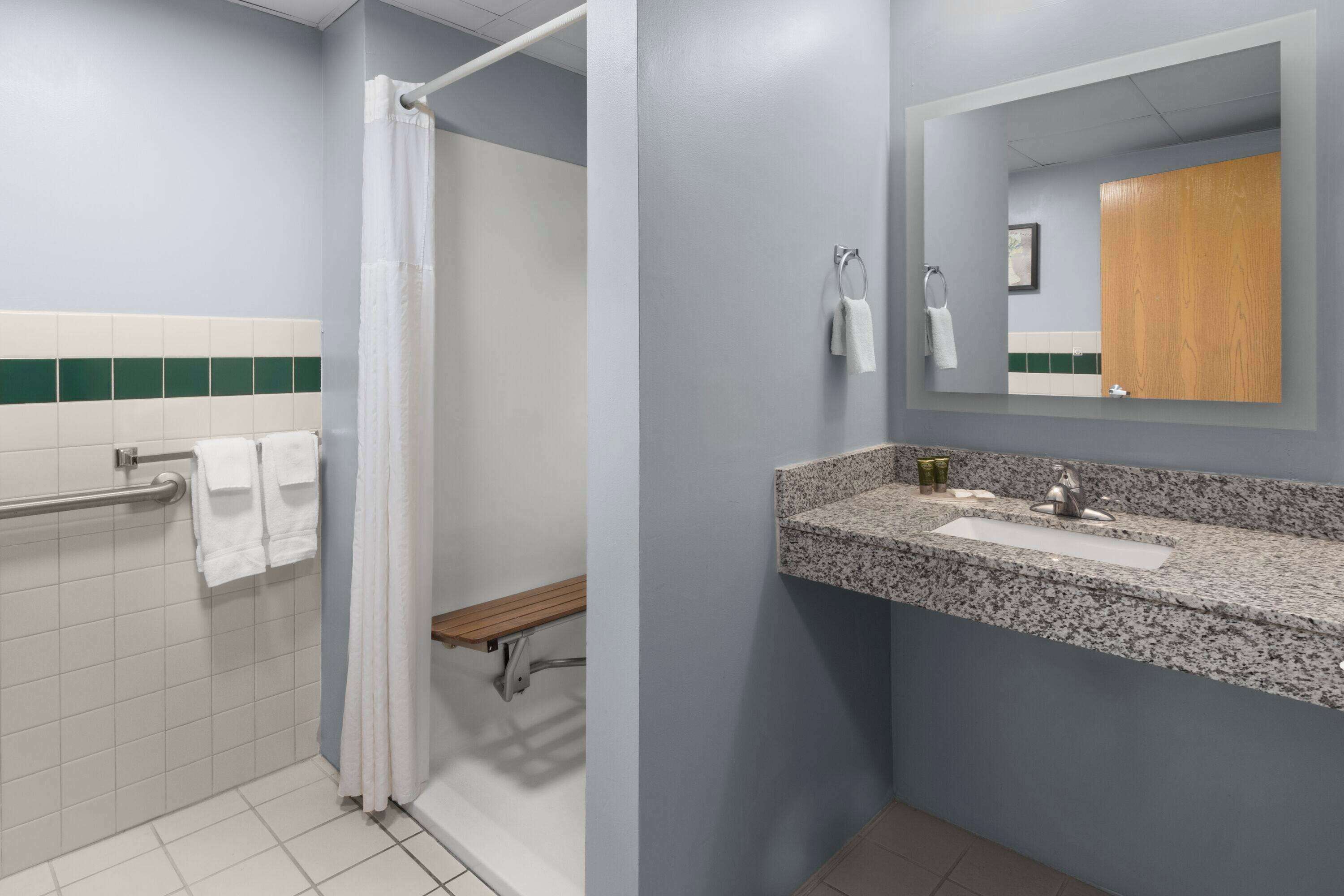 room, 1 king bed, accessible, non smoking (mobility, roll-in shower) | bathroom | free toiletries, hair dryer, towels, soap