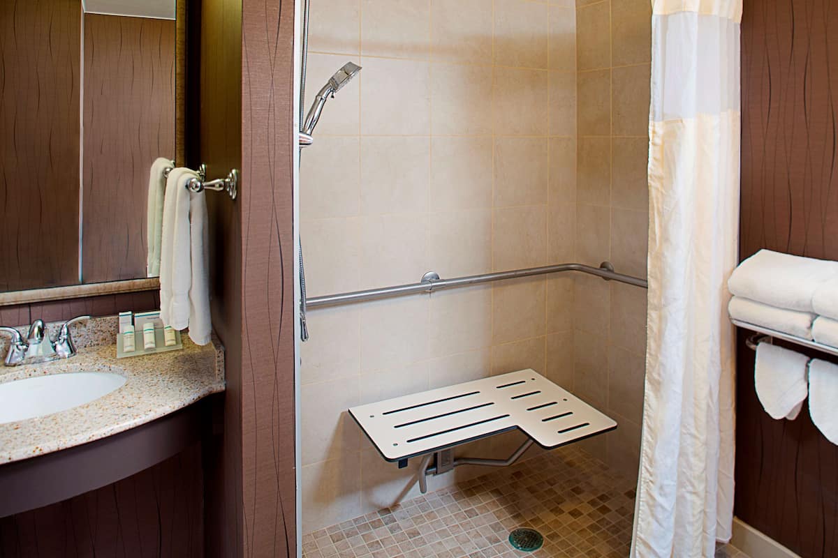 combined shower/bathtub, free toiletries, hair dryer, towels
