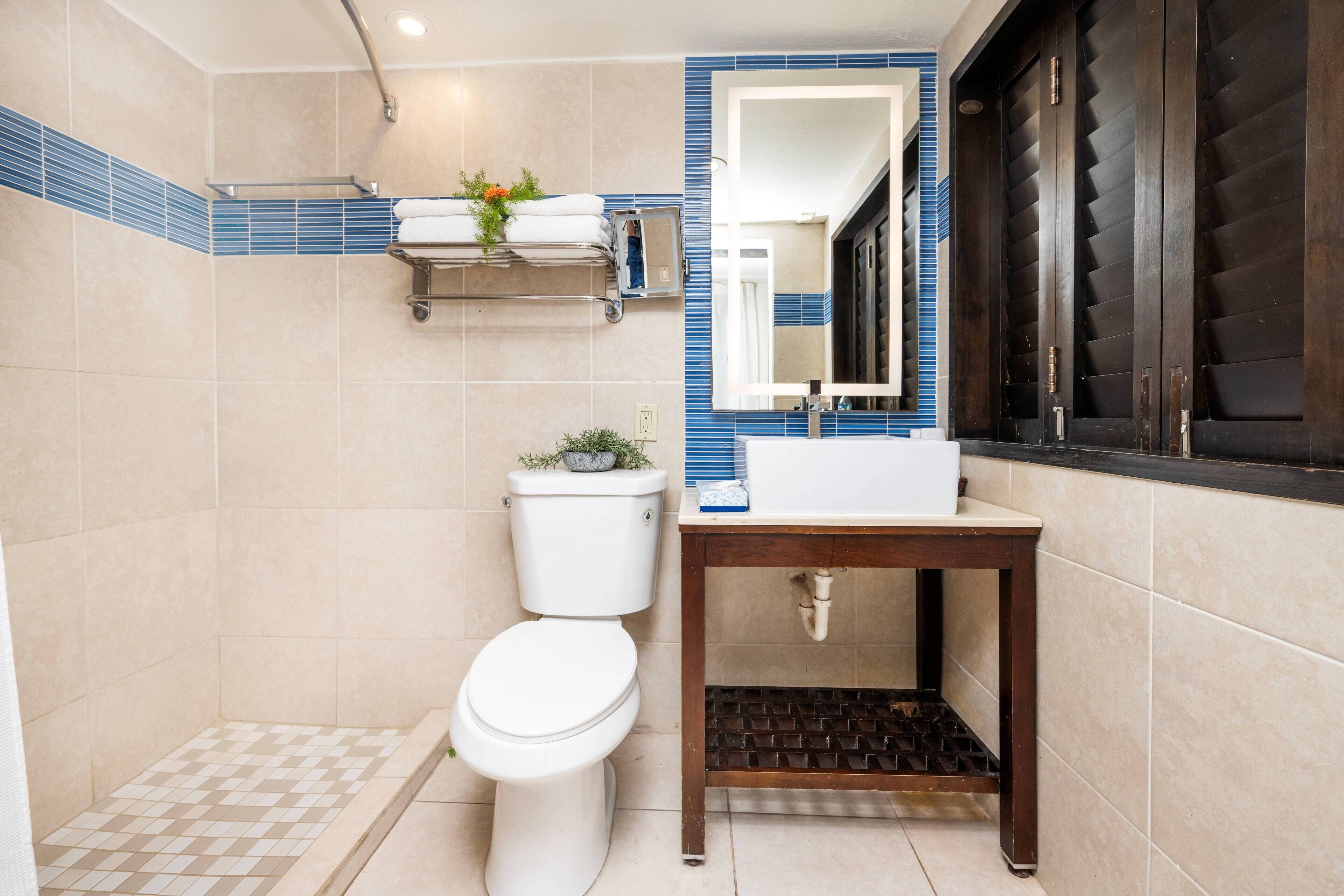 shower, free toiletries, hair dryer, towels