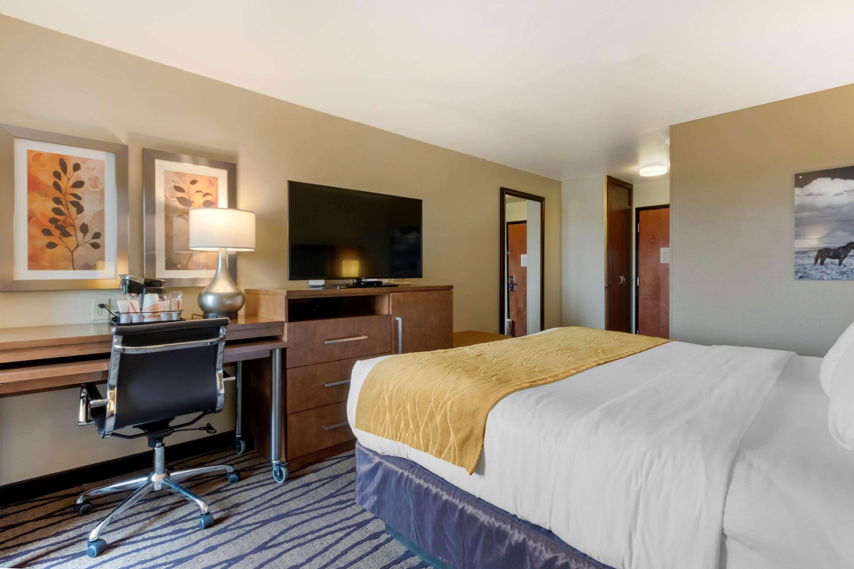 A hotel room with a bed, desk, chair, television, and artwork on the walls.