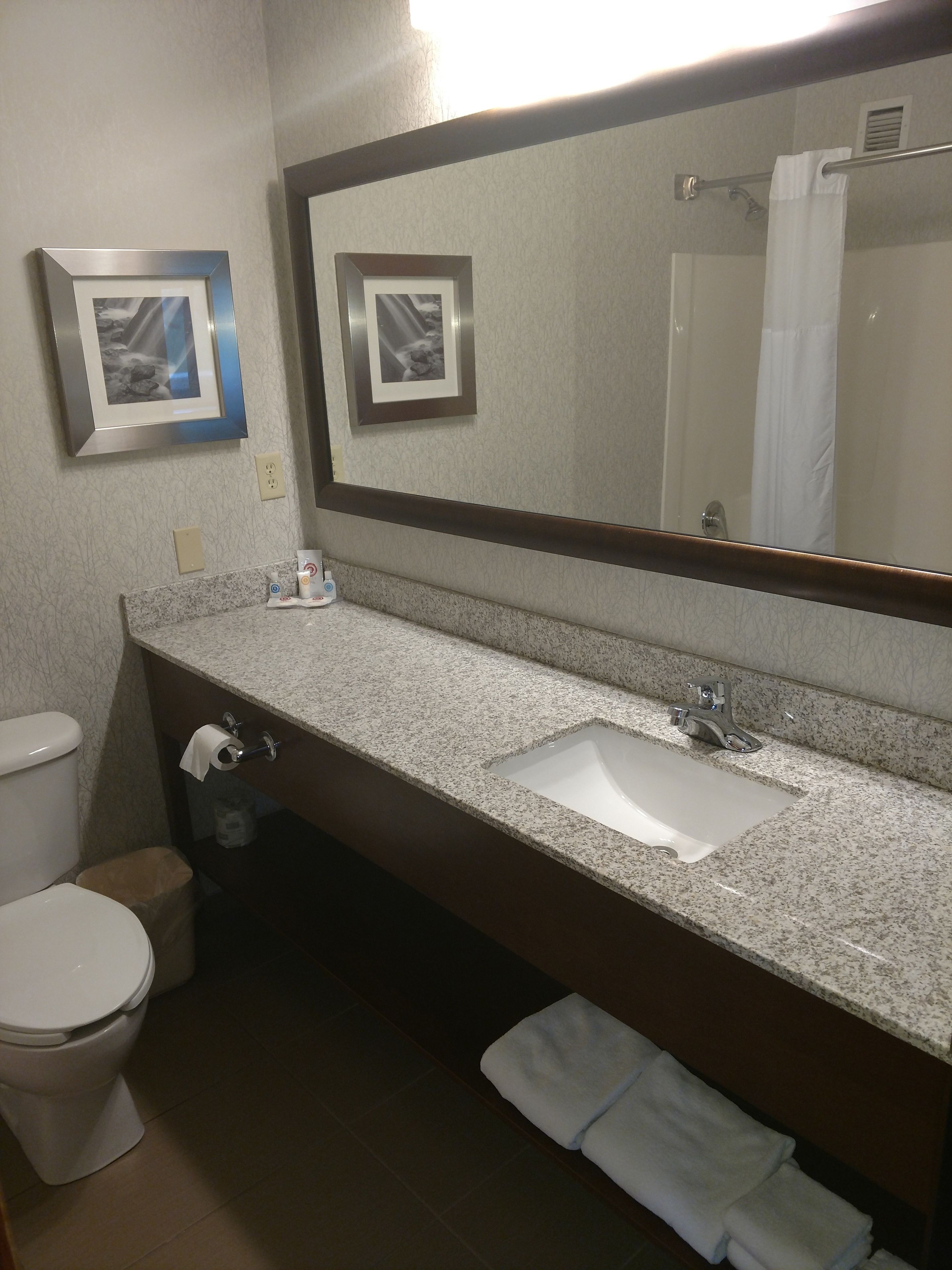 business suite, 1 king bed, non smoking | bathroom | combined shower/bathtub, free toiletries, hair dryer, towels