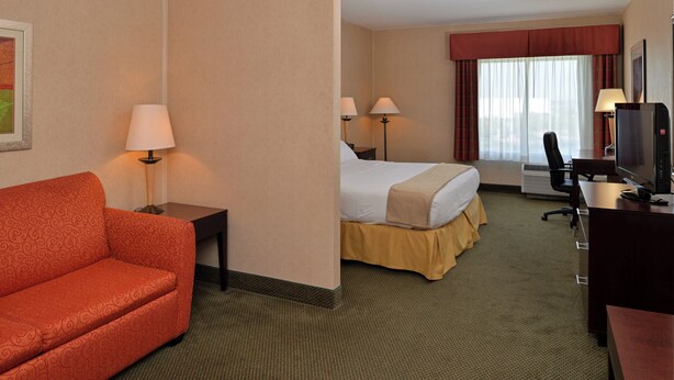Una habitación de hotel con cama, escritorio, televisor, silla y sofá.
