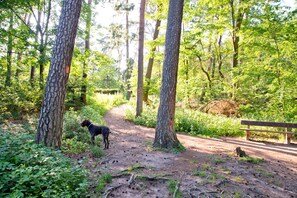 Hiking