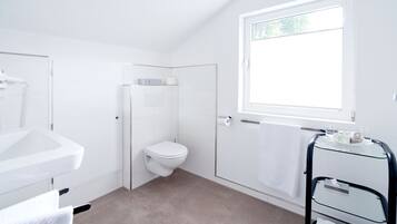 A modern bathroom with a toilet, sink, and glass shower enclosure.