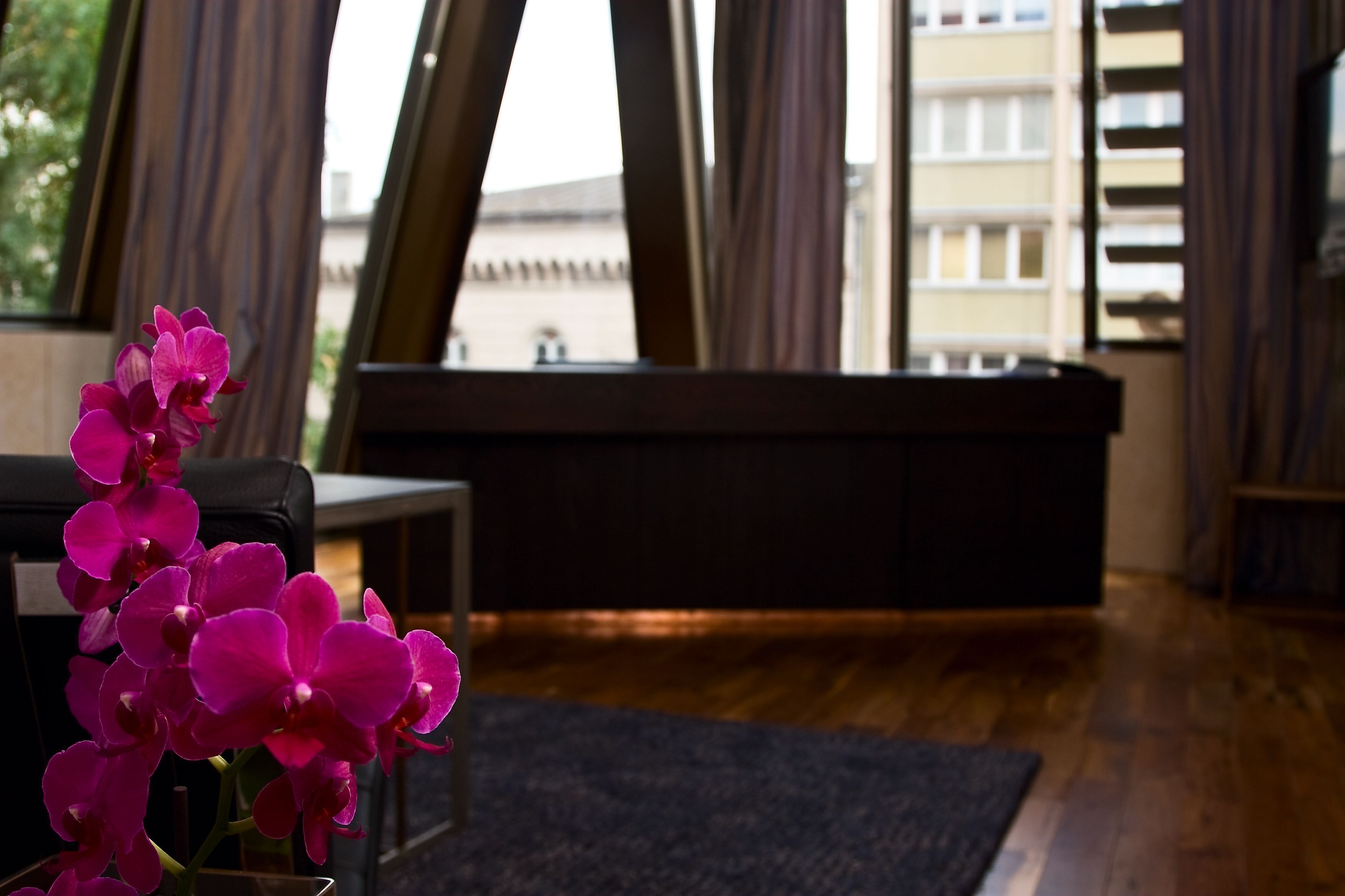 Photo - Hotel Monopol