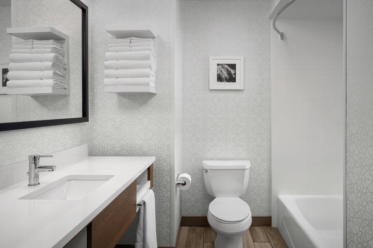 combined shower/bathtub, free toiletries, hair dryer, towels