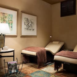 Hydrotherapy, aromatherapy, deep-tissue massages, Swedish massages