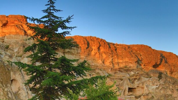 Un área de estar al aire libre con mesas y sillas, un árbol y un edificio con techo rojo al fondo.