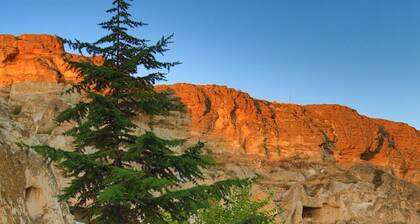 Surban Hotel - Special Class