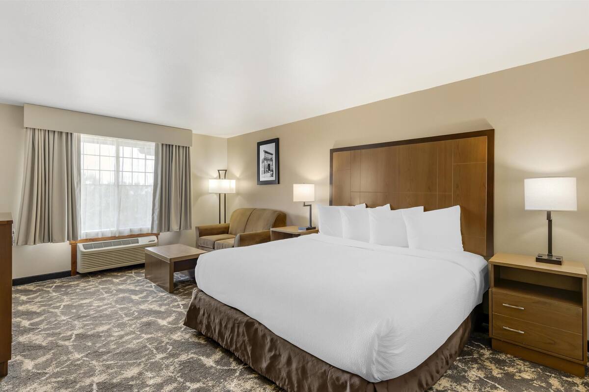 Standard Room, 1 King Bed, Non Smoking, Jetted Tub | 1 bedroom, premium bedding, pillowtop beds, laptop workspace