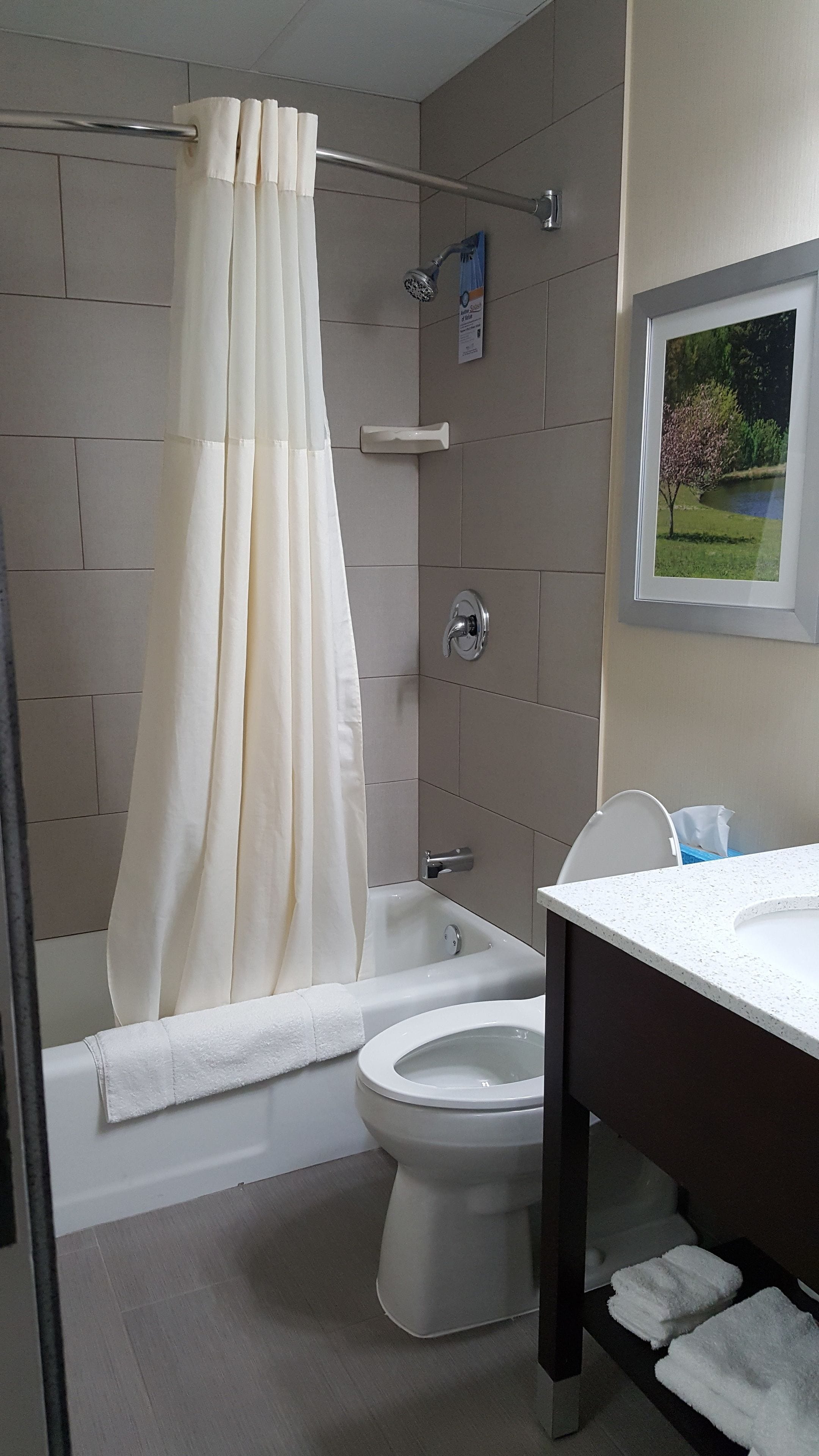 Combined shower/tub, hydromassage showerhead, hair dryer, towels