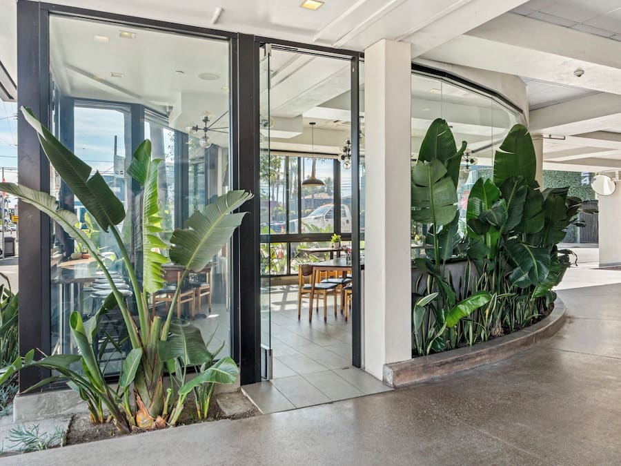 Um espaço moderno e interno com portas de vidro que dão para uma área de estar externa, cercado por grandes plantas verdes.
