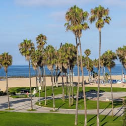 1 King Bed, Ocean View | View from room