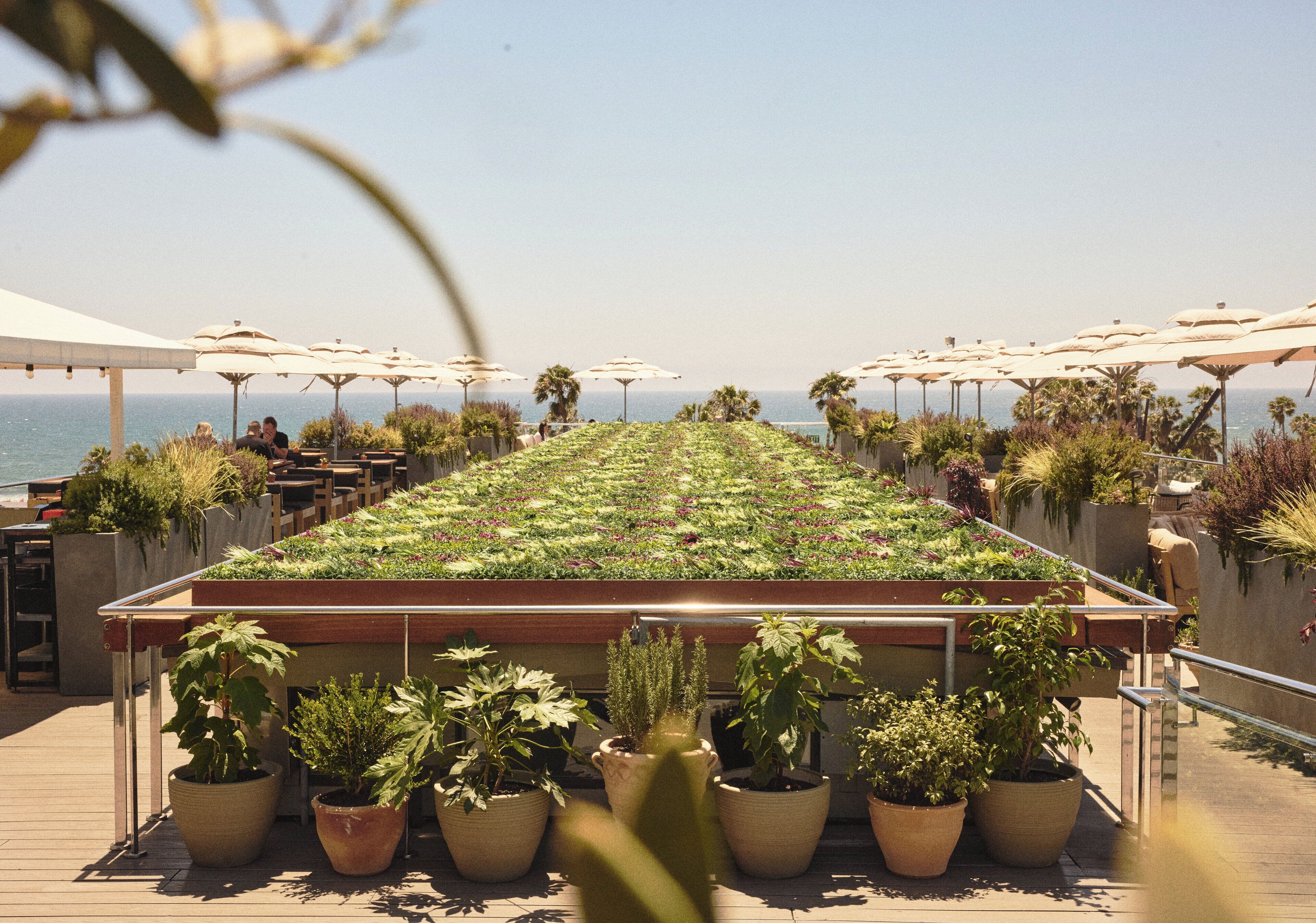 Foto - Hotel Erwin Venice Beach