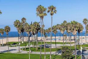 A beachside view with palm trees, a clear sky, and a sandy beach. - Hotel Erwin Venice Beach (Venice)