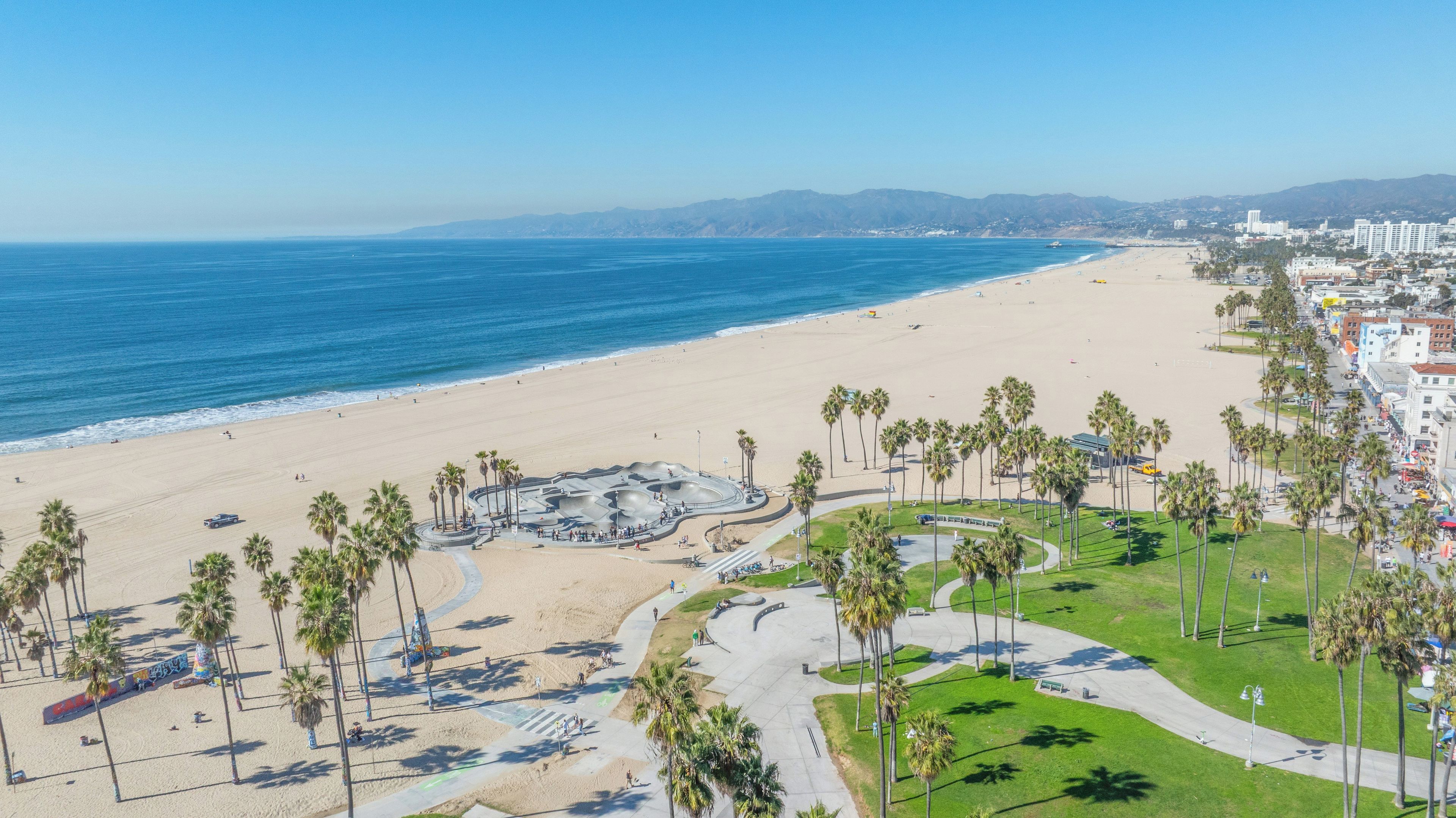 A beach with a palm tree-lined promenade and a skate park.