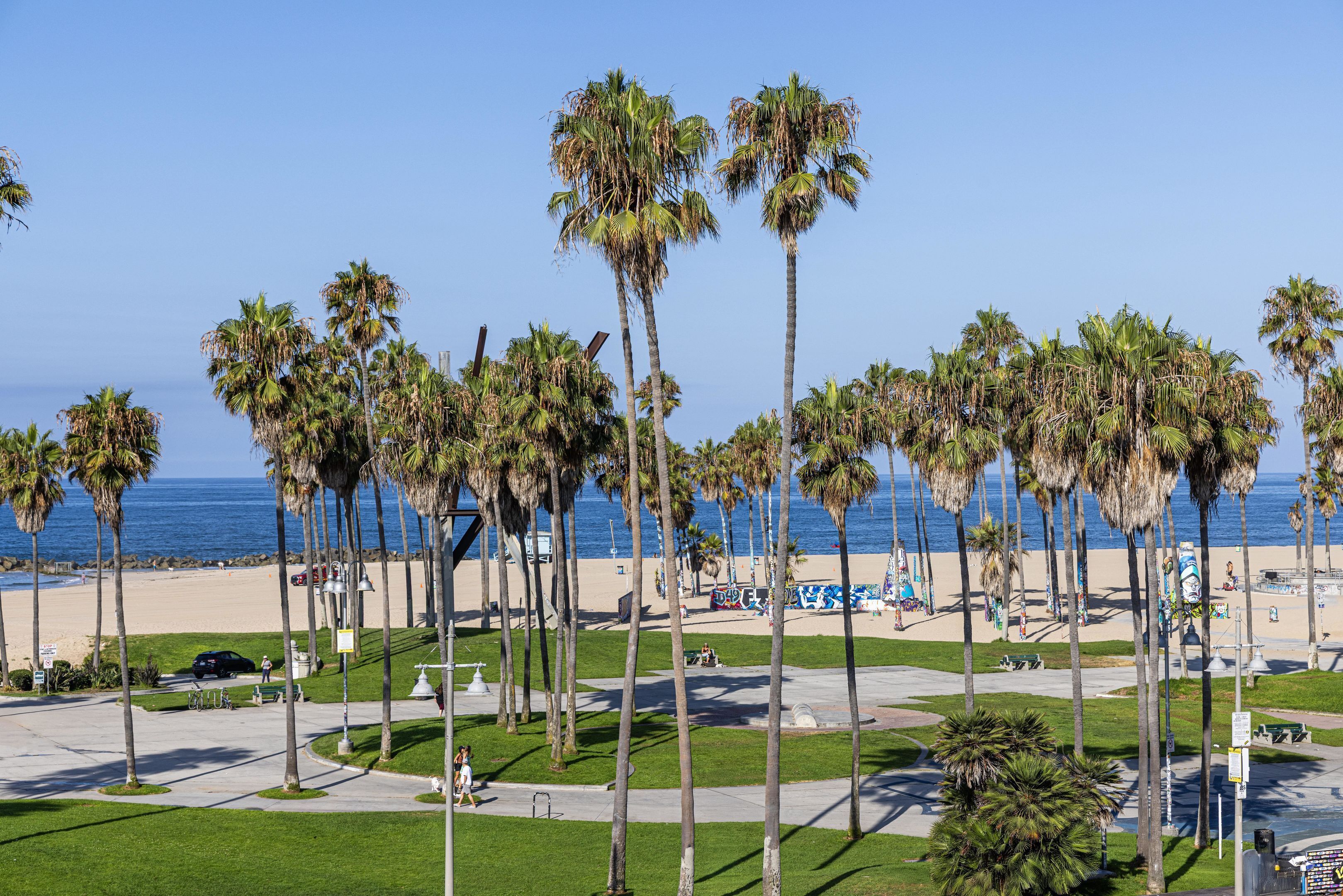 Foto - Erwin Venice Beach Hotel