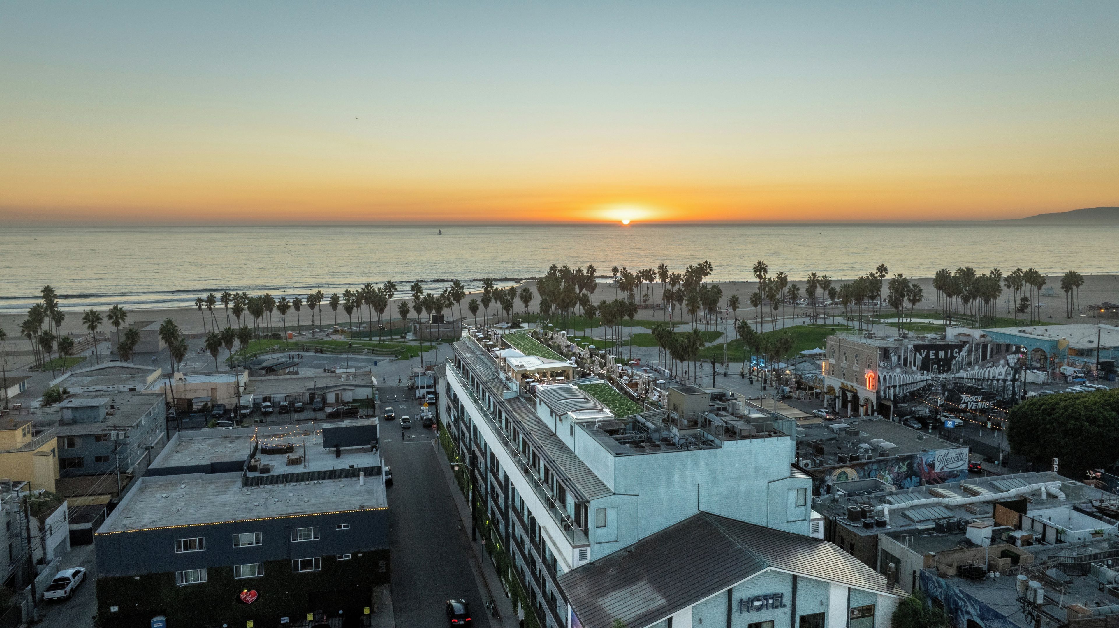 Un hôtel doté d’une terrasse sur le toit, offrant une vue sur la plage et bordé de palmiers.
