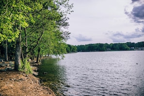 Järvi