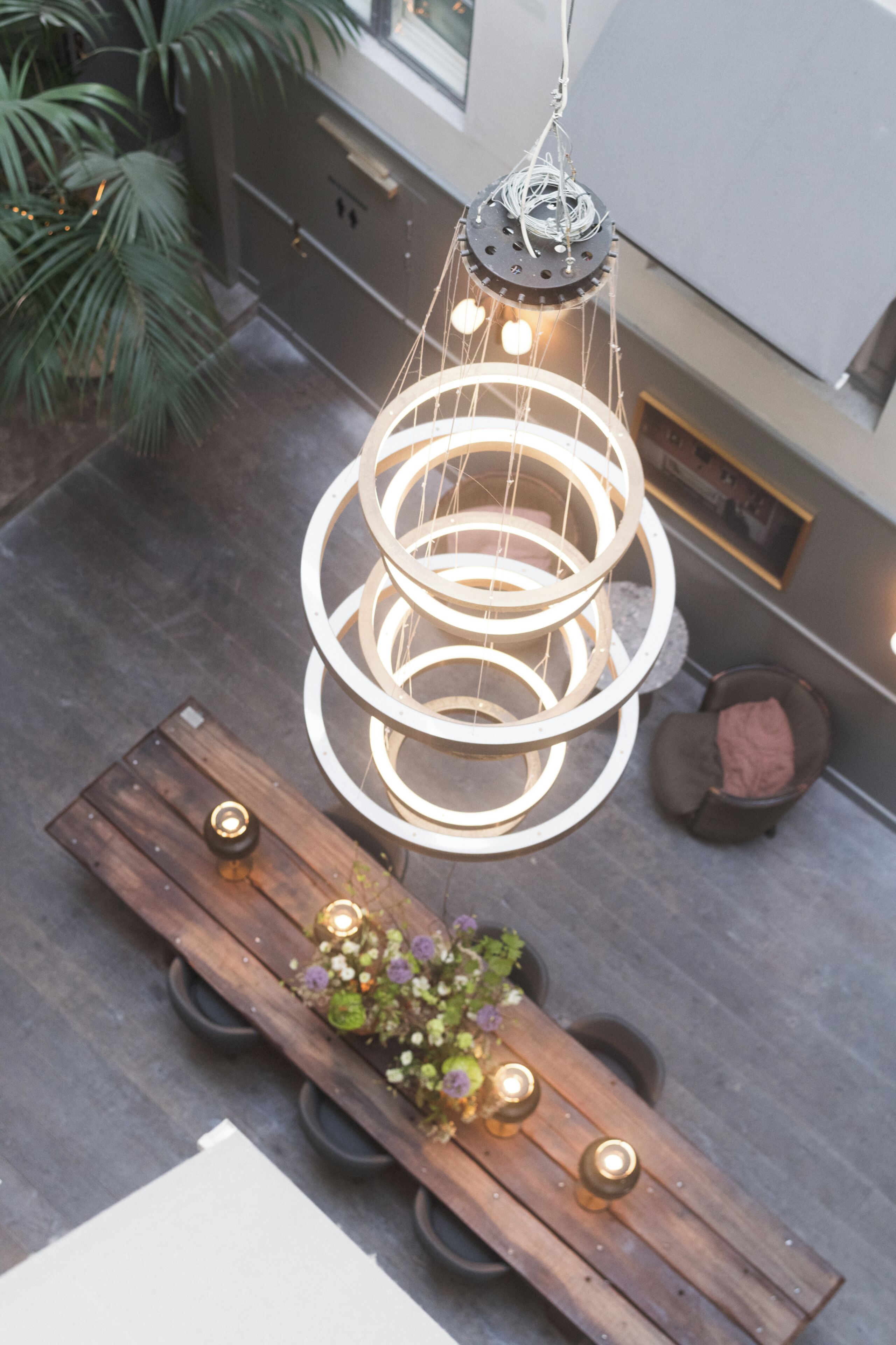 A modern interior with a wooden bench, a hanging circular light fixture, and a potted plant.