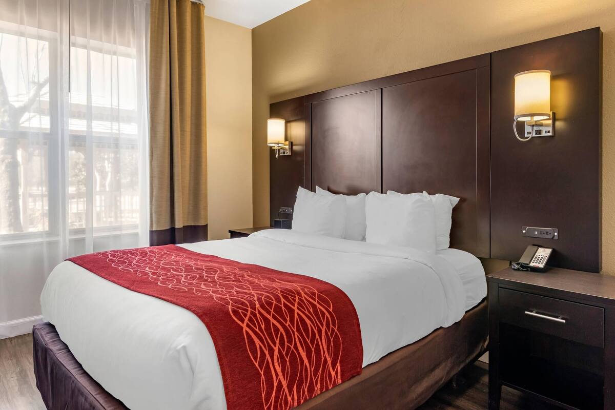 A hotel room with a large bed, two bedside tables with lamps, a telephone, and a view of the outdoors through a window.