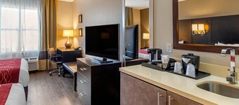 Comfort Inn & Suites near Six Flags