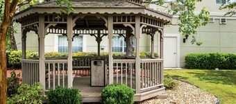 Comfort Inn & Suites near Six Flags