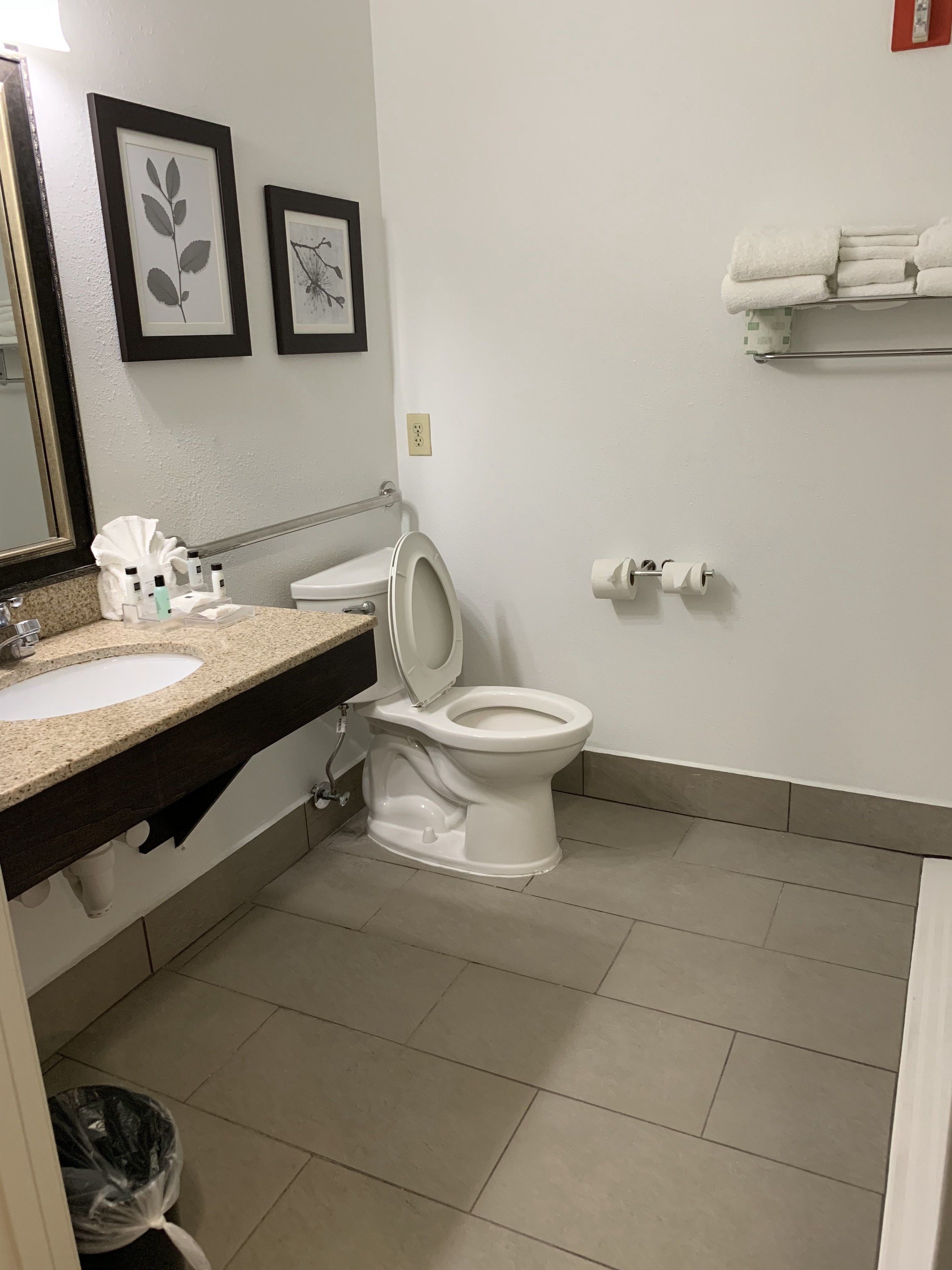 combined shower/bathtub, free toiletries, hair dryer, towels