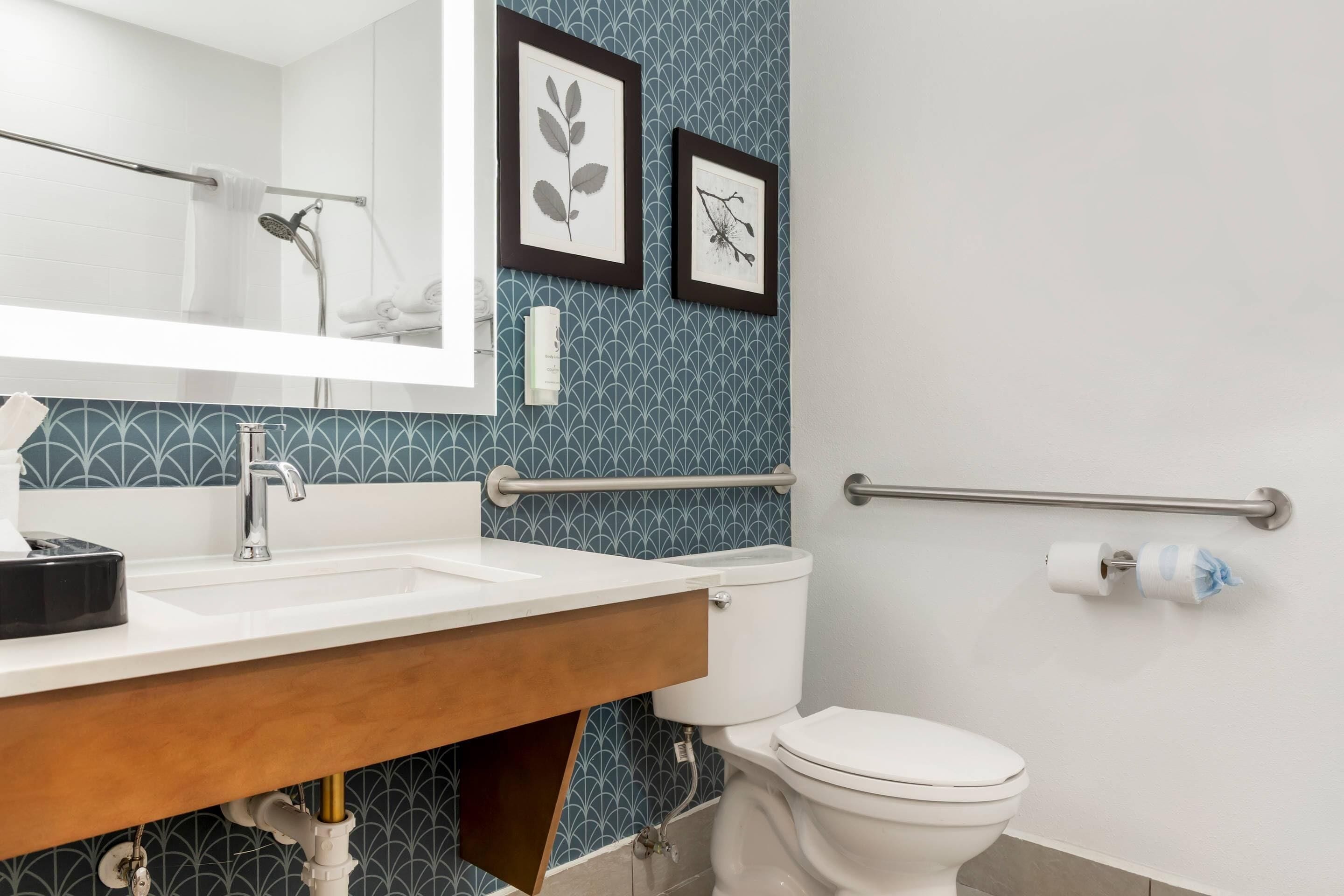 Une salle de bain avec un lavabo blanc, des toilettes, une barre d’appui et des reproductions encadrées de motifs botaniques accrochées au mur.