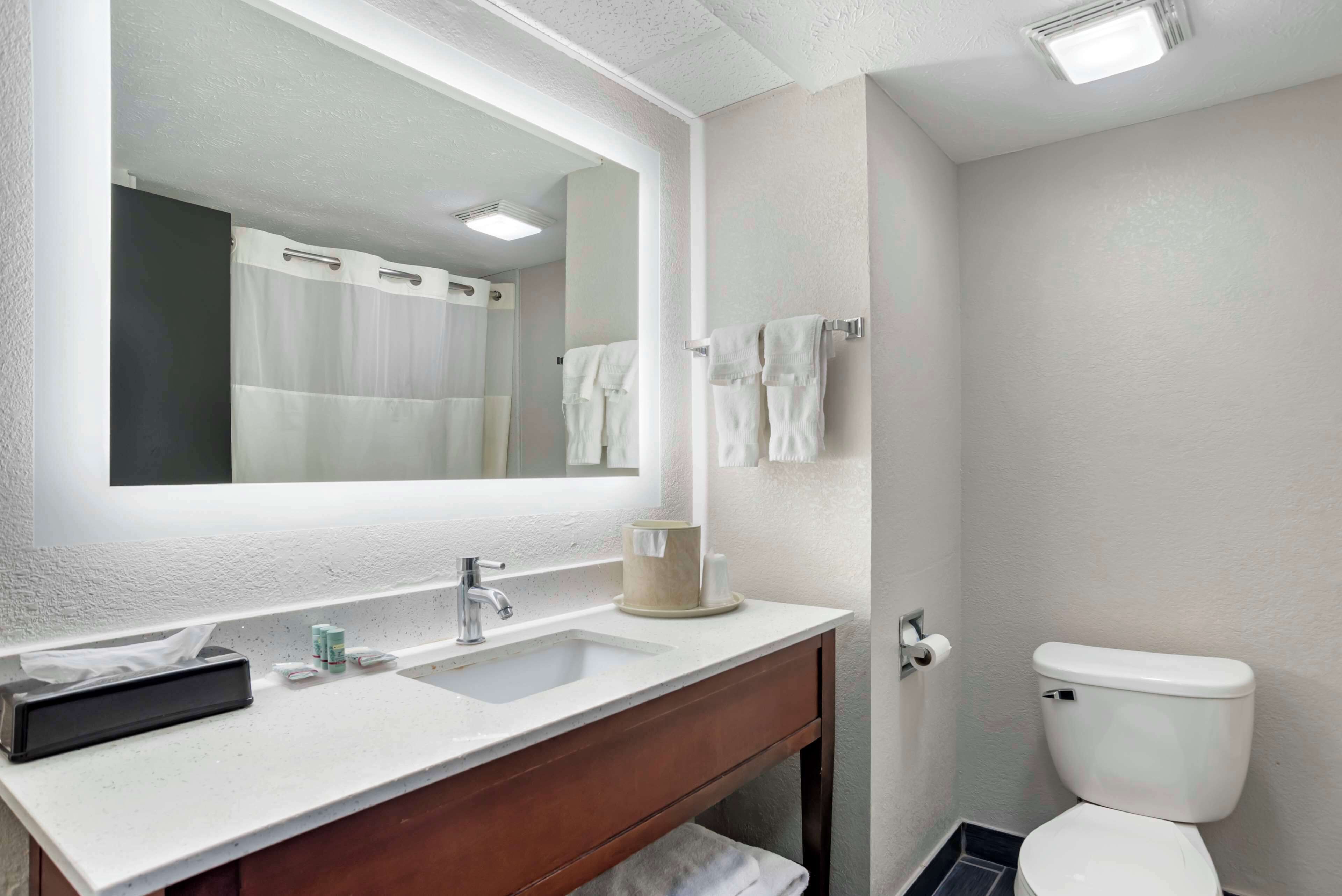 A bathroom with a white sink, a mirror, a toilet, and a shower curtain.