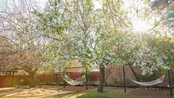 Un patio trasero con una hamaca, una pérgola y árboles floreados.