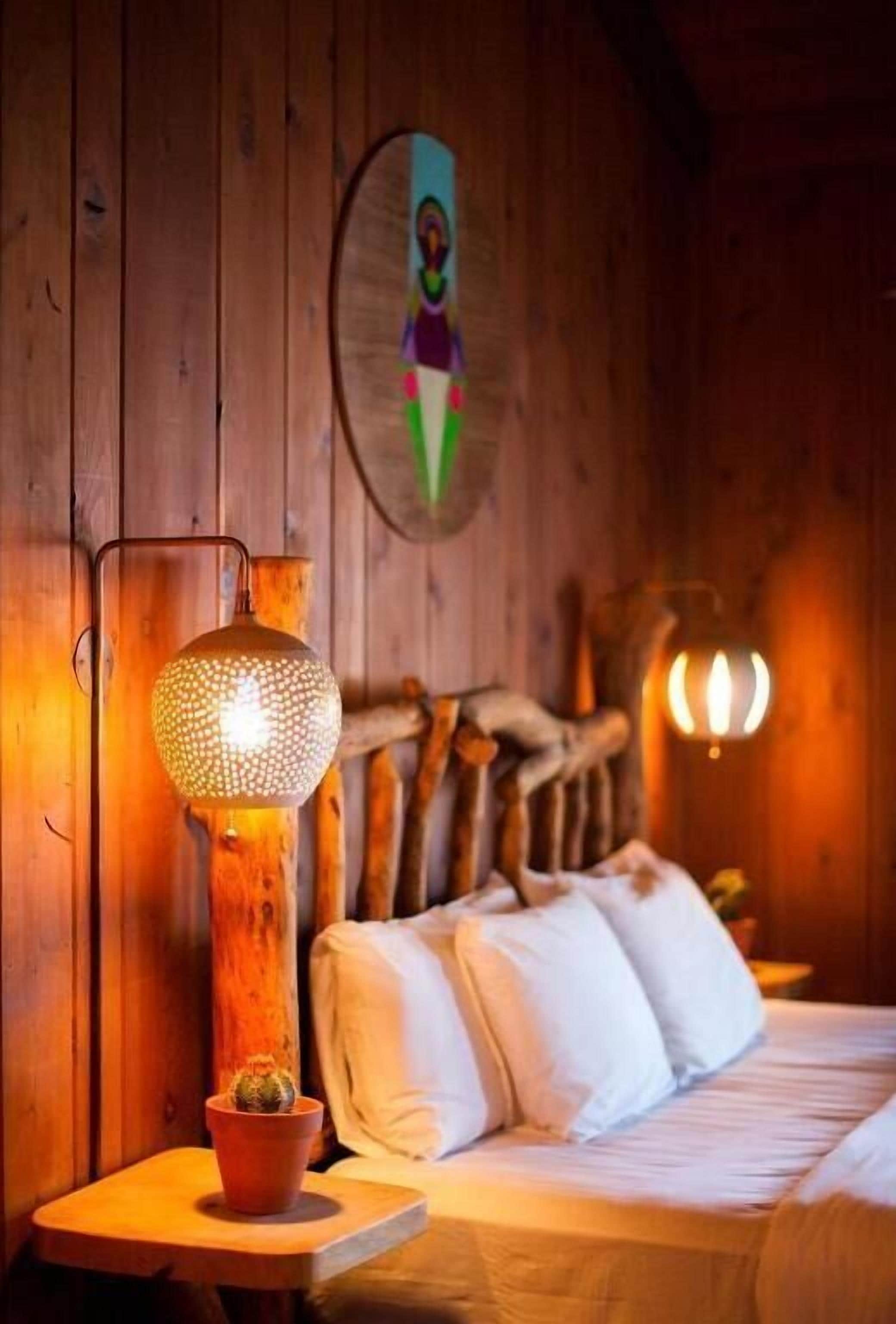 A wooden cabin interior with a bed, a wall-mounted lamp, and a small cactus on a nightstand.