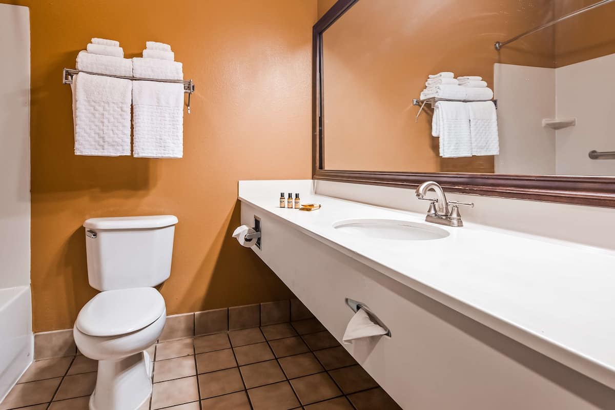 free toiletries, hair dryer, towels, soap