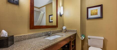 Une salle de bain avec un lavabo à vasque en granit, un miroir, des toilettes et un tableau encadré au mur.