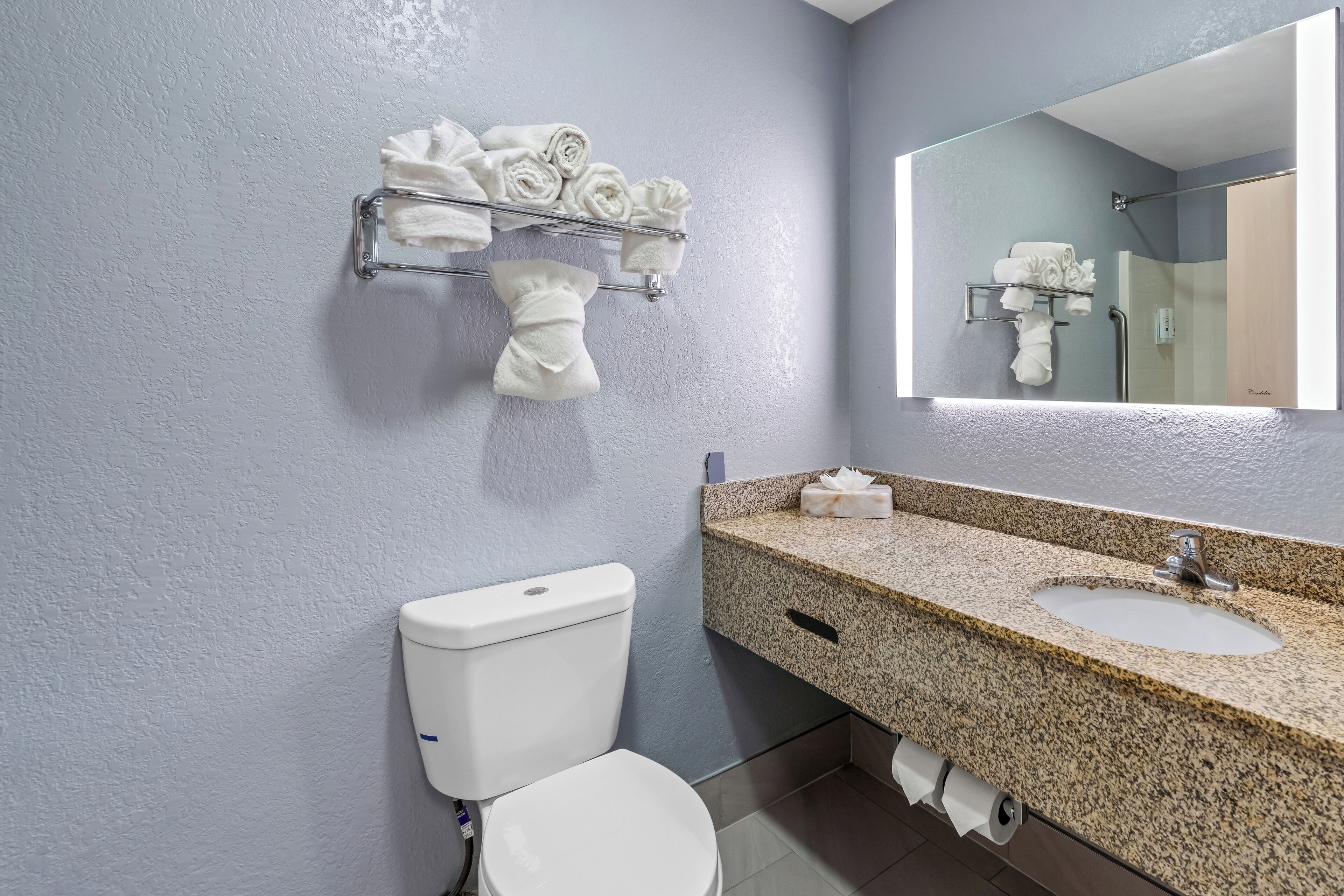 A bathroom with a toilet, sink, and towel rack.