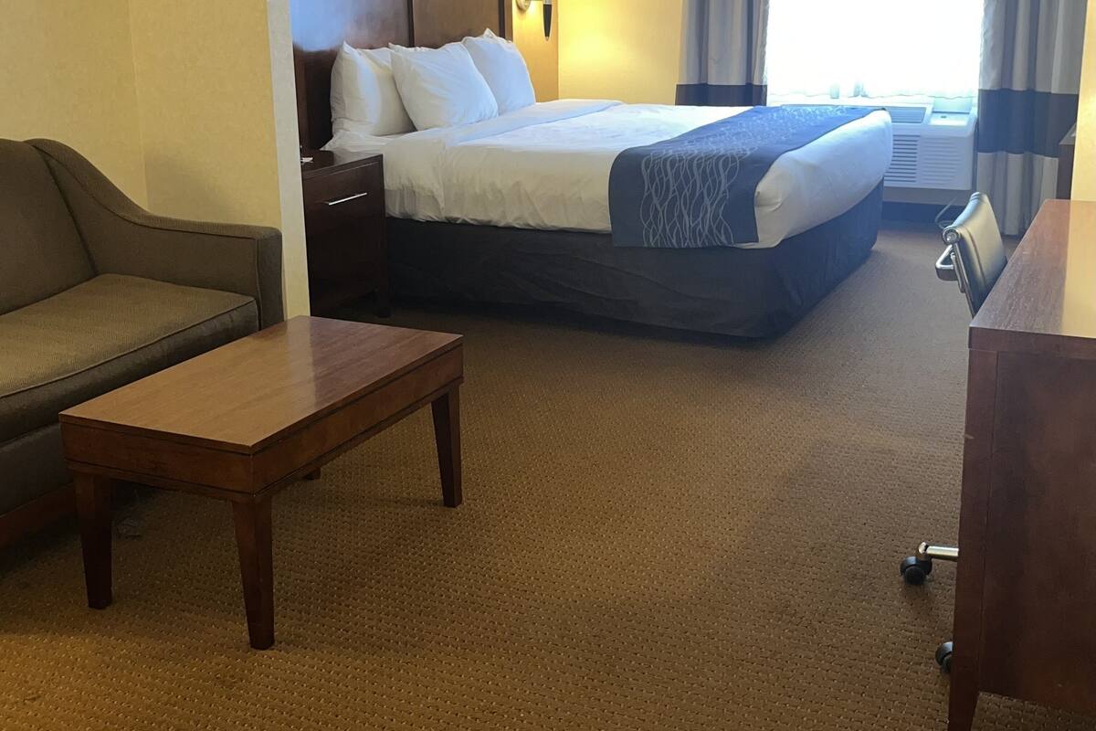 A hotel room with a bed, a sofa, a desk, and a lamp.