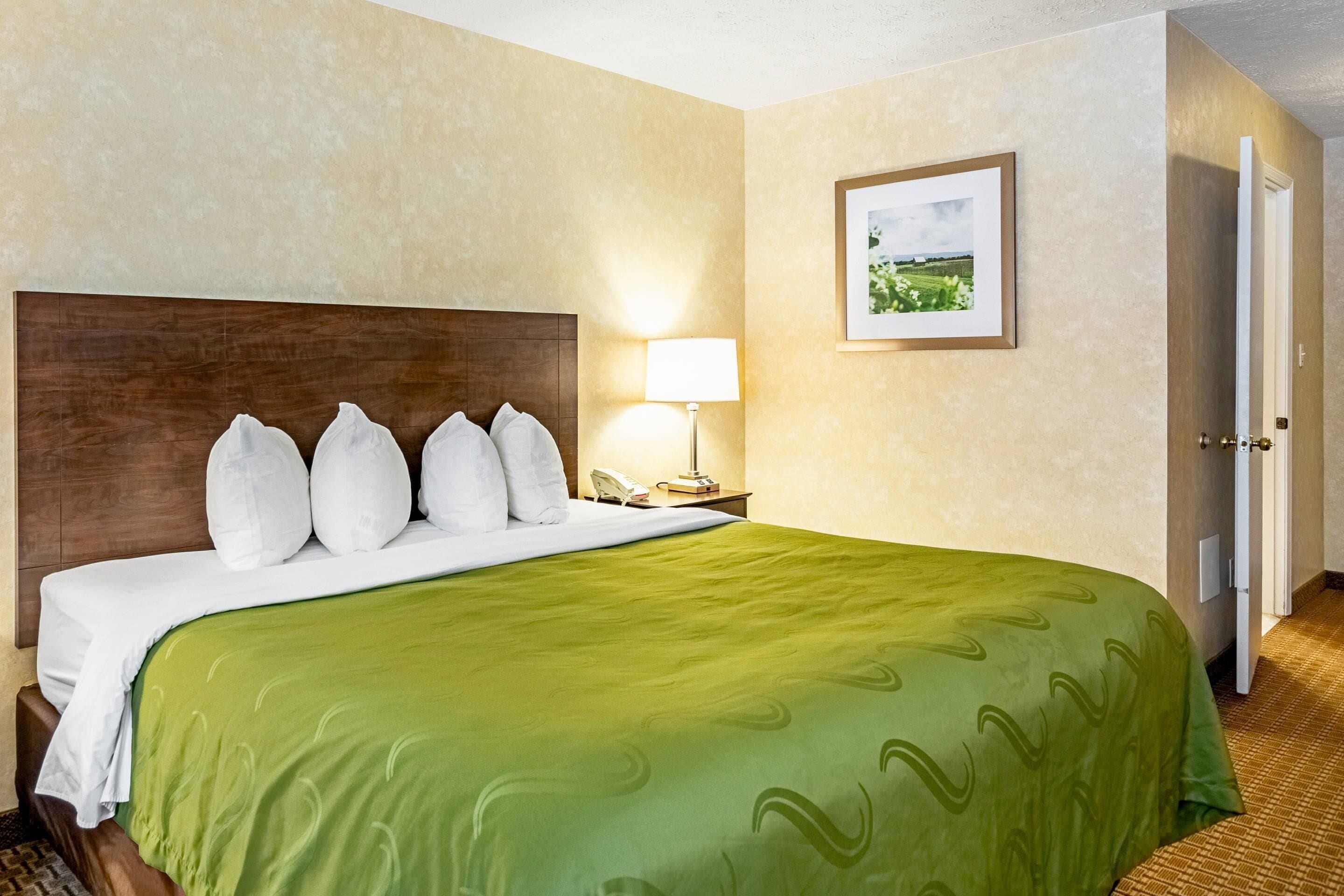 Habitación de hotel con una cama grande, cabecera de madera, colcha verde, lámpara de noche, un cuadro enmarcado en la pared y una puerta a la derecha.