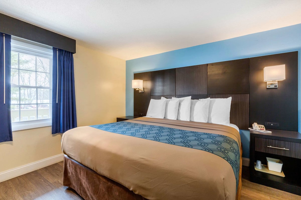 A hotel room with a large bed, a nightstand, a lamp, and a window with curtains.