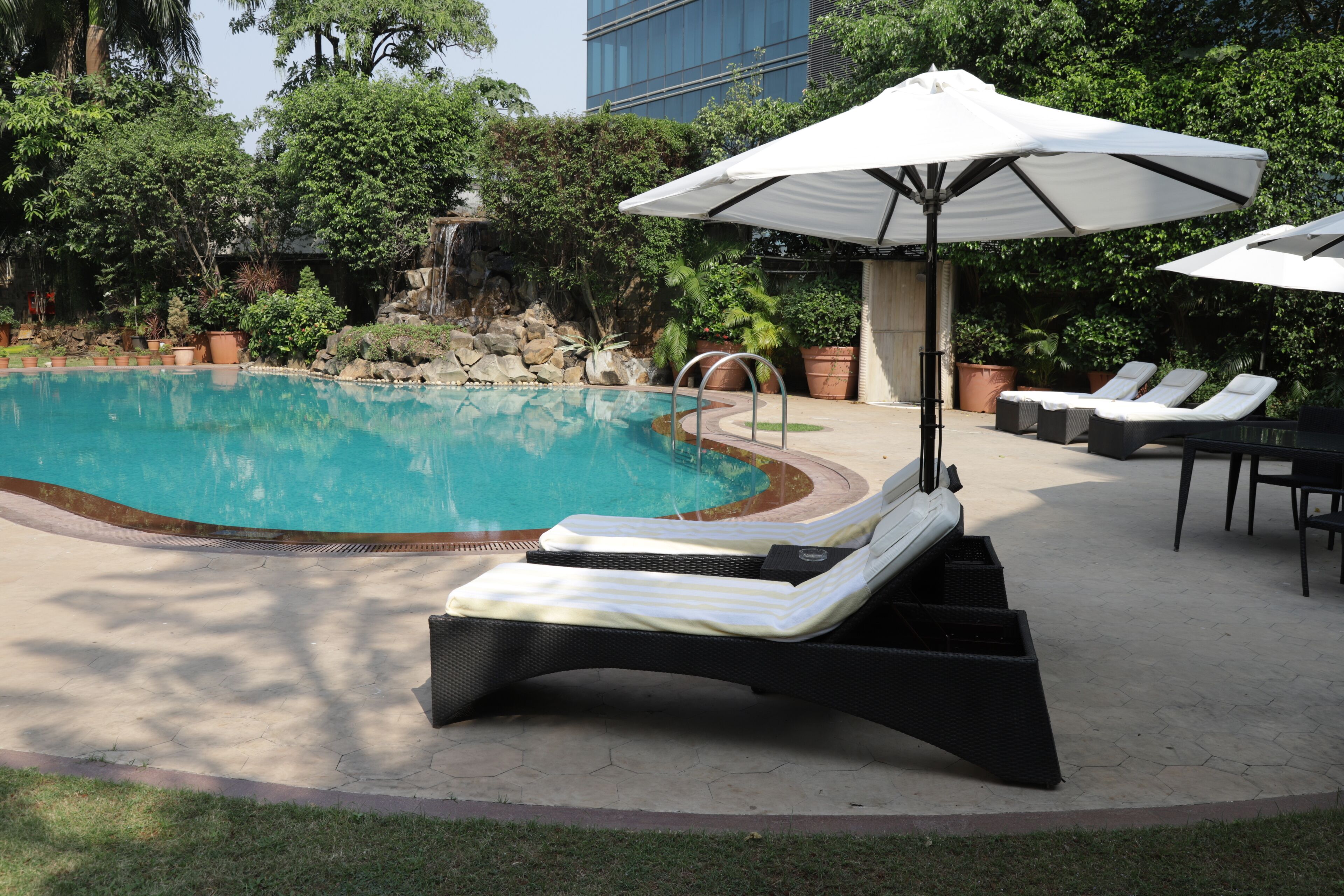 outdoor pool, pool loungers