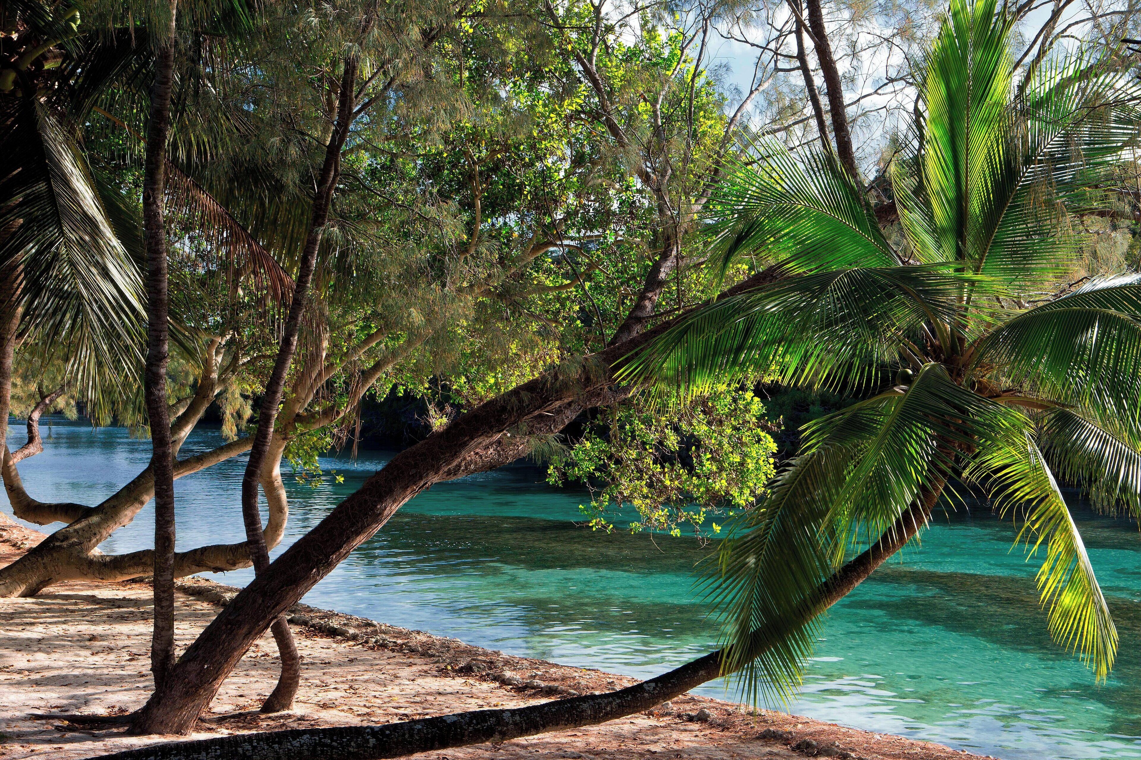 bungalow, 1 king bed, non smoking, river view (terrace) | 1 bedroom, premium bedding, minibar, in-room safe